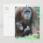 Modèle vertical carte postale - Customisé (Devant / Derrière)