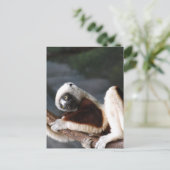 Modèle vertical carte postale - Customisé (Debout devant)