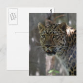 Modèle vertical de carte postale - Customisé (Devant / Derrière)