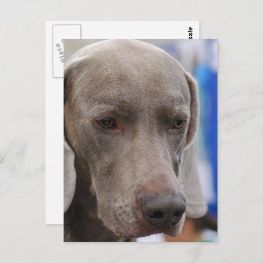 Modèle vertical de carte postale - Customisé (Devant / Derrière)