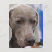 Modèle vertical de carte postale - Customisé (Devant)