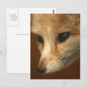 Modèle vertical de carte postale - Customisé (Devant / Derrière)
