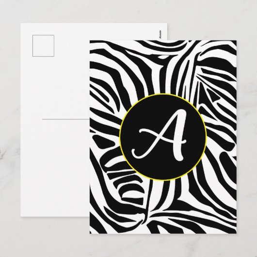 Modèle Zebra (Devant / Derrière)