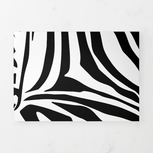 Modèle Zèbre (Page de couverture)