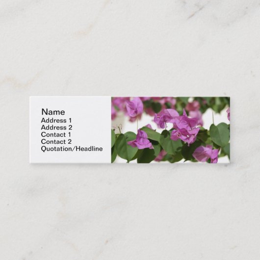 Modèles de cartes de visite Bougainvillea (Devant)