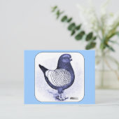 Modena Argent Pigeon Briefkaart (Staand voorkant)