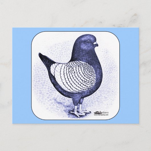 Modena Argent Pigeon Briefkaart (Voorkant)