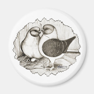 Modena Gazzi Pigeons Magneet