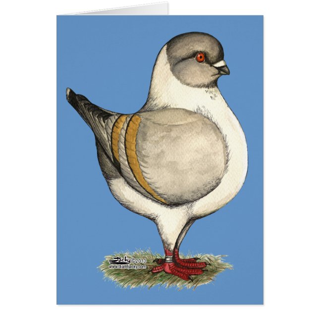 Modena Silver Gazzi (Devant)