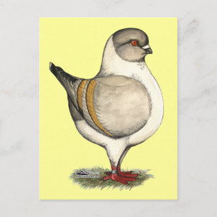 Modena Silver Gazzi Briefkaart