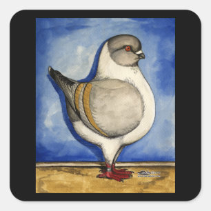 Modena Silver Gazzi Pigeon Vierkante Sticker