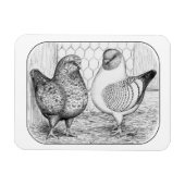 Modenas Two Magneet (Horizontaal)