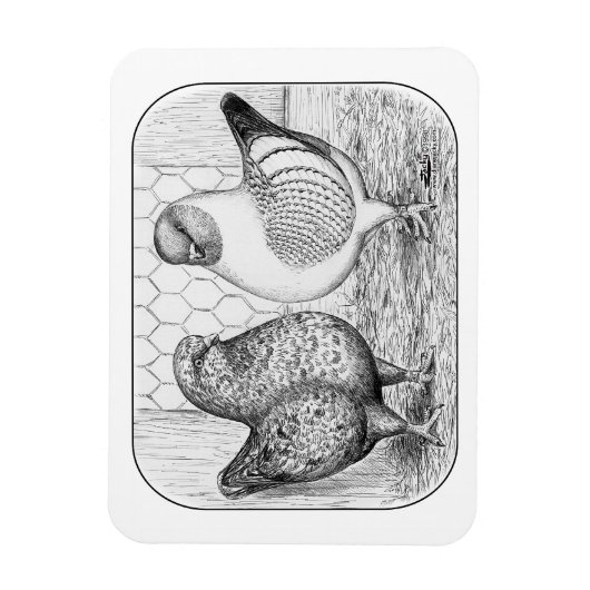 Modenas Two Magneet (Verticaal)