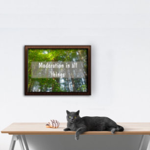 Modération en toutes choses Affiche inspirante