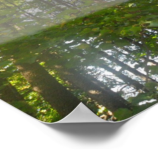 Modération en toutes choses Affiche inspirante (Coin)