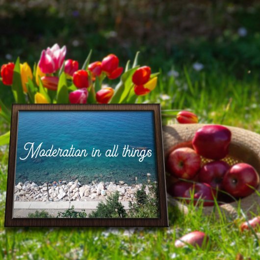 Modération en toutes choses mer proverbe poster