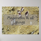 Modération en toutes choses sagesse dire affiche (Devant)