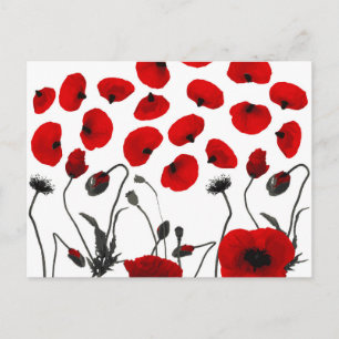 Modern Black and Red Flowers en Petals Briefkaart