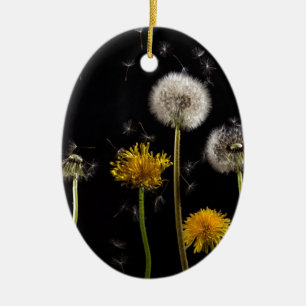 Modern Black Dandelion Keramisch Ornament