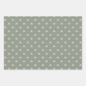 Modern Bladpatroon en Pinstripes Dusky Green | Inpakpapier Vel (Voorkant 2)