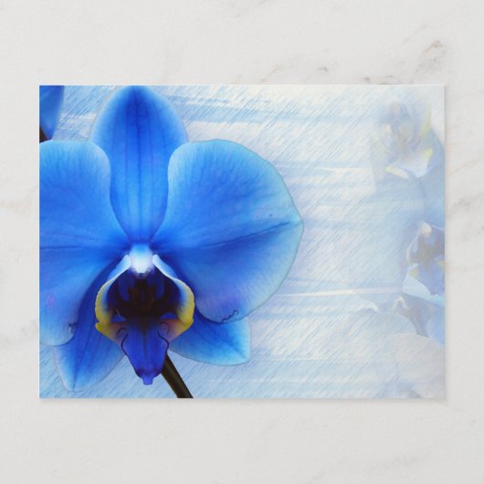 Modern Blue Waterverf Orchids Wedding Website Enc Informatiekaartje (Achterkant)