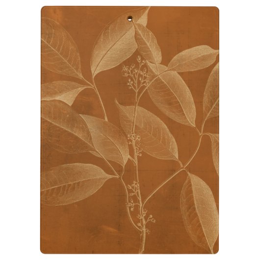 Modern Botany VI Klembord (Achterkant)