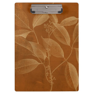 Modern Botany VI Klembord