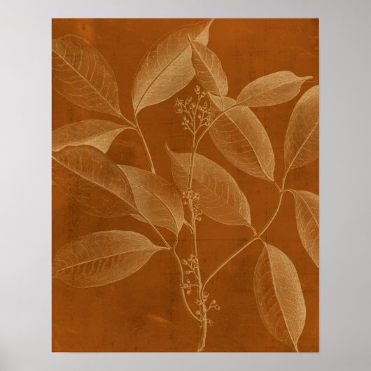 Modern Botany VI Poster (Voorkant)