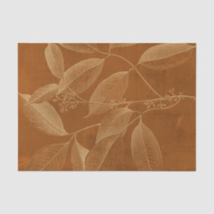 Modern Botany VI Tissuepapier