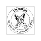 Modern Cat Return-adres Rubberstempel (Afrduk)