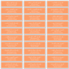 Modern Chic Script Weddenschap Namen adres Sticker