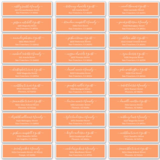 Modern Chic Script Weddenschap Namen adres Sticker (Voorkant)