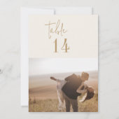 Modern chique  goud 5x7" foto tafel nummers (Achterkant)