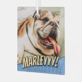 Modern Comic Simple Cool Custom Pet Foto Glas Ornament (Voorkant links)