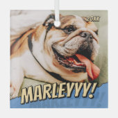 Modern Comic Simple Cool Custom Pet Foto Glas Ornament (Voorkant)