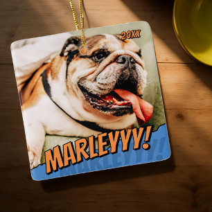 Modern Comic Simple Cool Custom Pet Foto Keramisch Ornament