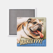 Modern Comic Simple Cool Custom Pet Foto Magneet (Voorkant / Achterkant)