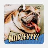 Modern Comic Simple Cool Custom Pet Foto Metalen Ornament (Achterkant)