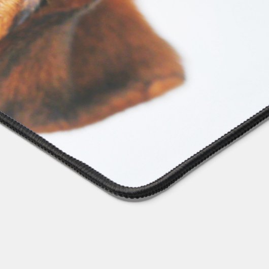 Modern Custom Dog Photo (Coin)