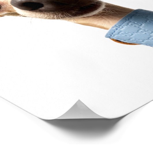 Modern Custom Pet Photo | Meeko Poster (Hoek)