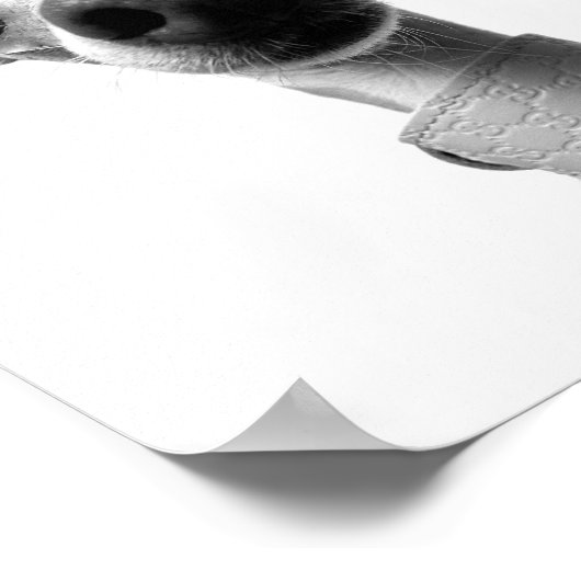 Modern Custom Pet Photo | Meeko Poster (Hoek)