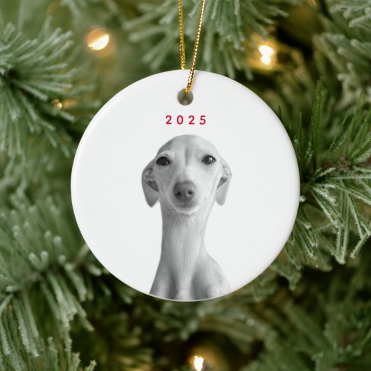 Modern Custom Pet Portrait Keramisch Ornament (Boom)
