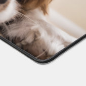 Modern Custom Photo Dog Portrait (Coin)