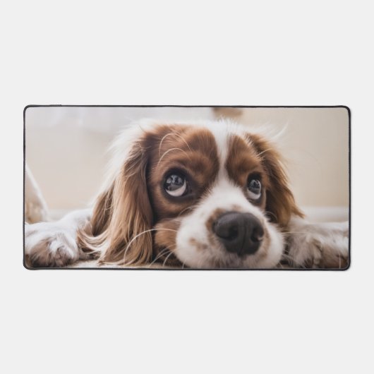 Modern Custom Photo Dog Portrait (Recto)