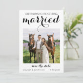 Modern Custom Photo Pet Equestrian Wedding Save The Date (Staand voorkant)