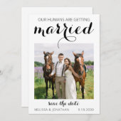 Modern Custom Photo Pet Equestrian Wedding Save The Date (Voorkant / Achterkant)