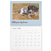 Modern Cute Dachshund Custom Pet Photos  Kalender (Jan 2026)