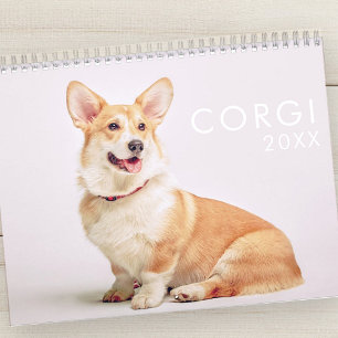 Modern Cute Funny Corgi Dogs Foto's Kalender