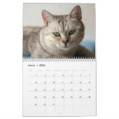 Modern Cute Funny Pet Kitten Cat Photos Calendar Kalender (Mar 2026)