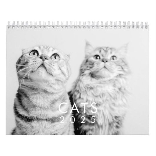 Modern Cute Funny Pet Kitten Cat Photos Kalender (Hoes)